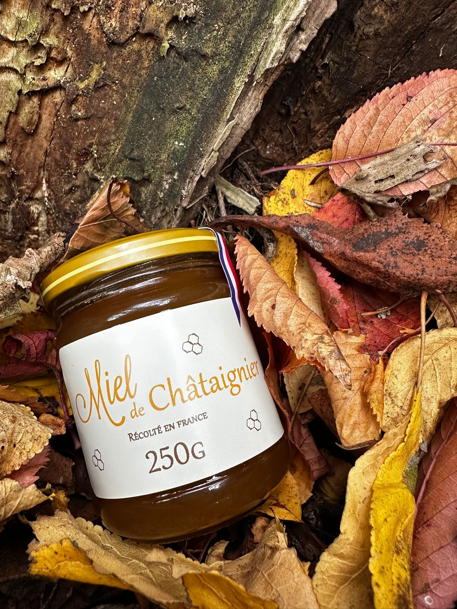 Miel de Châtaignier