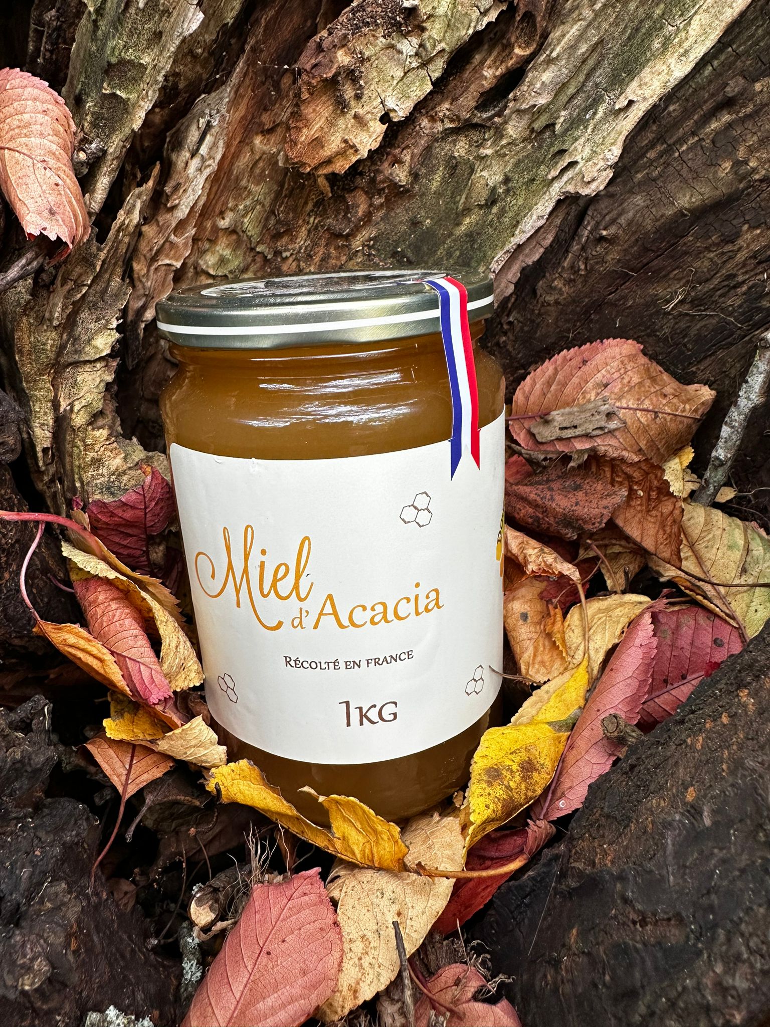Miel d'Acacia