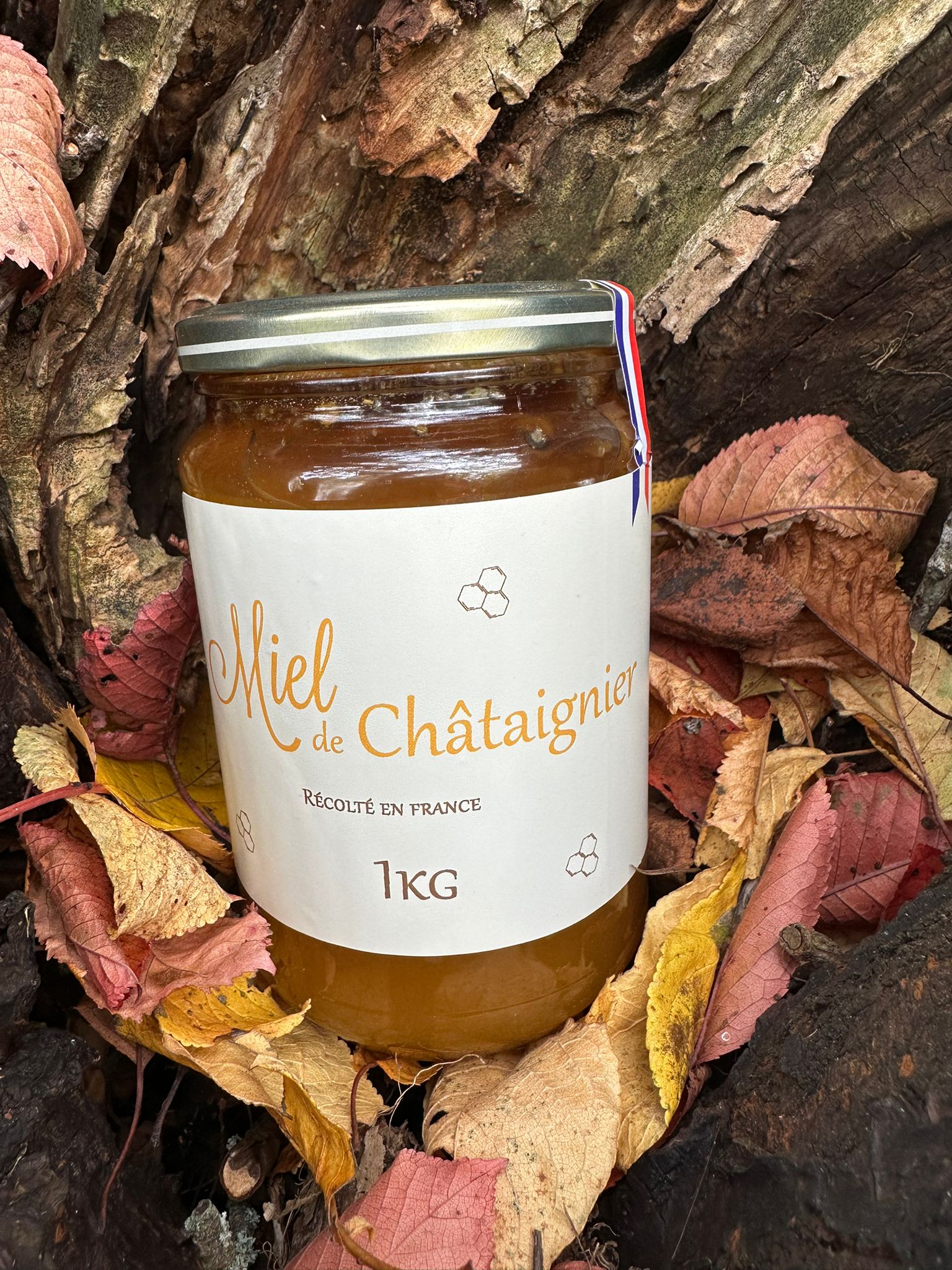 Miel de Châtaignier