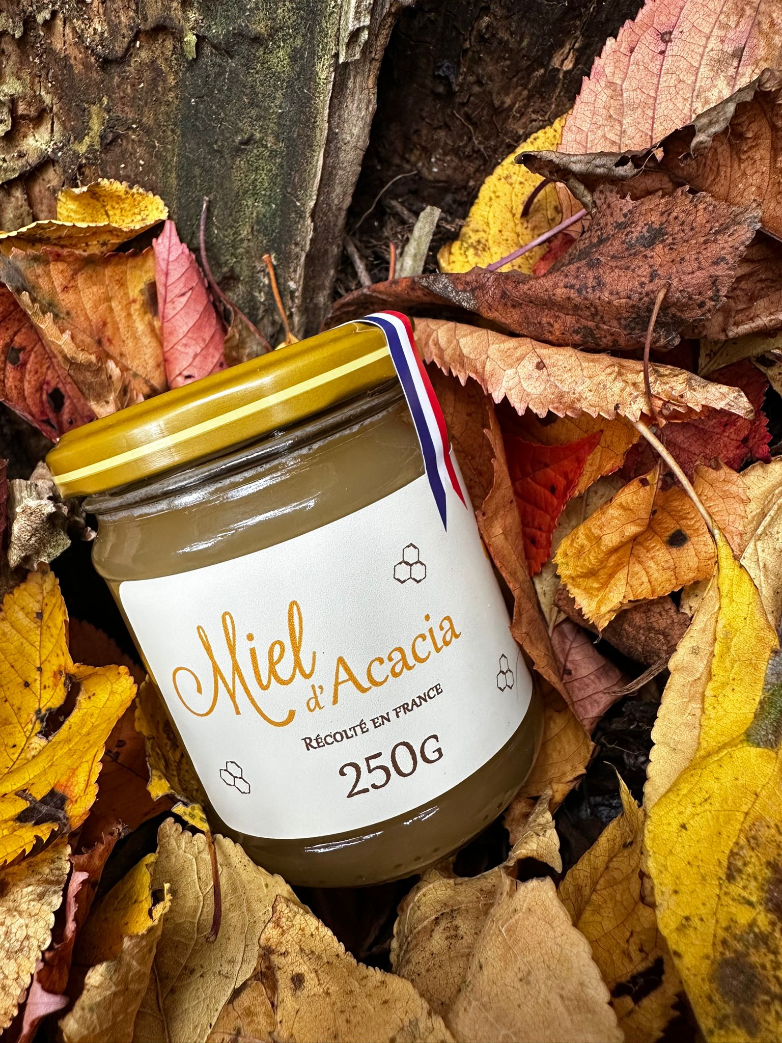 Miel d'Acacia