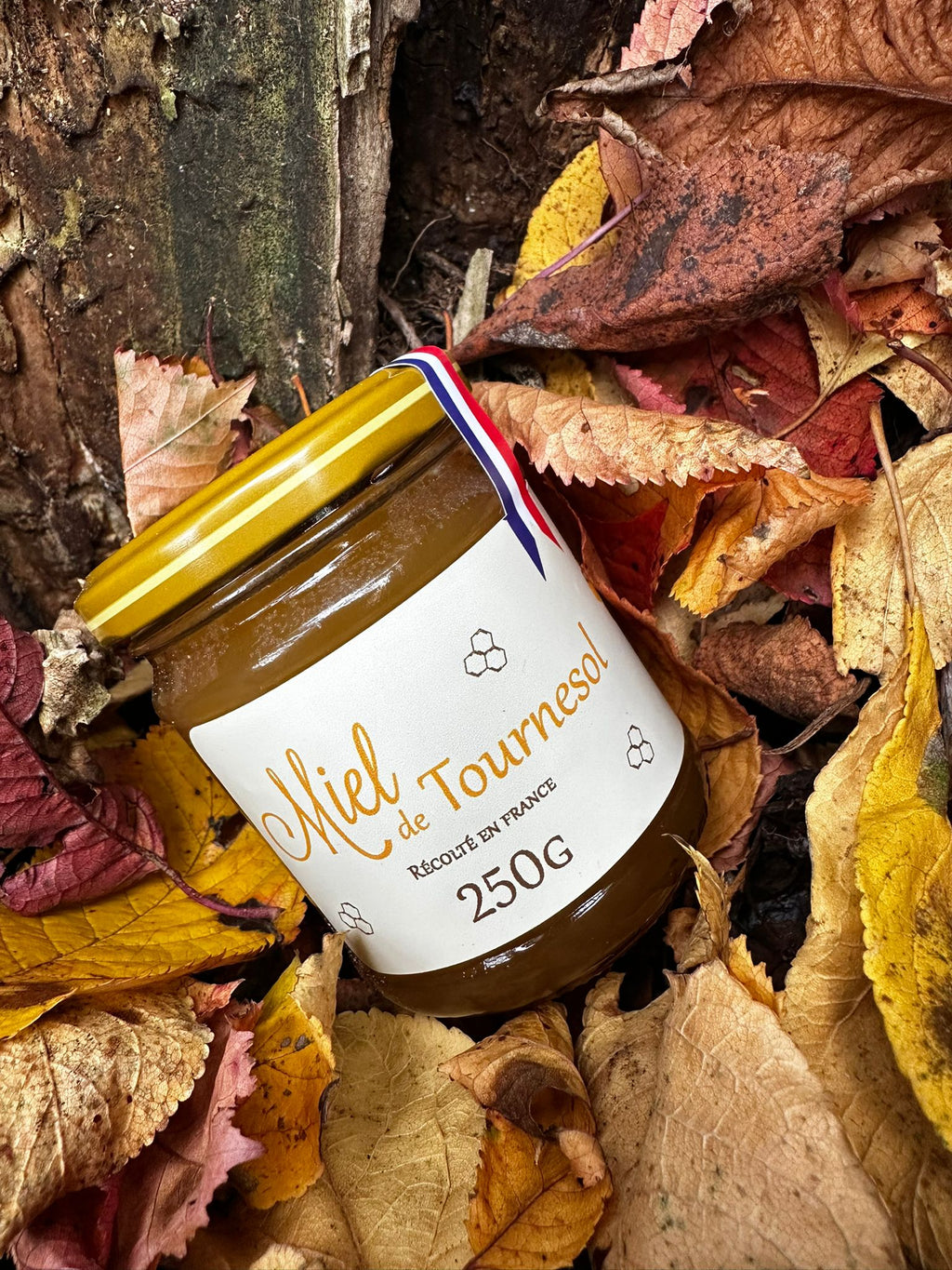 Miel de Tournesol