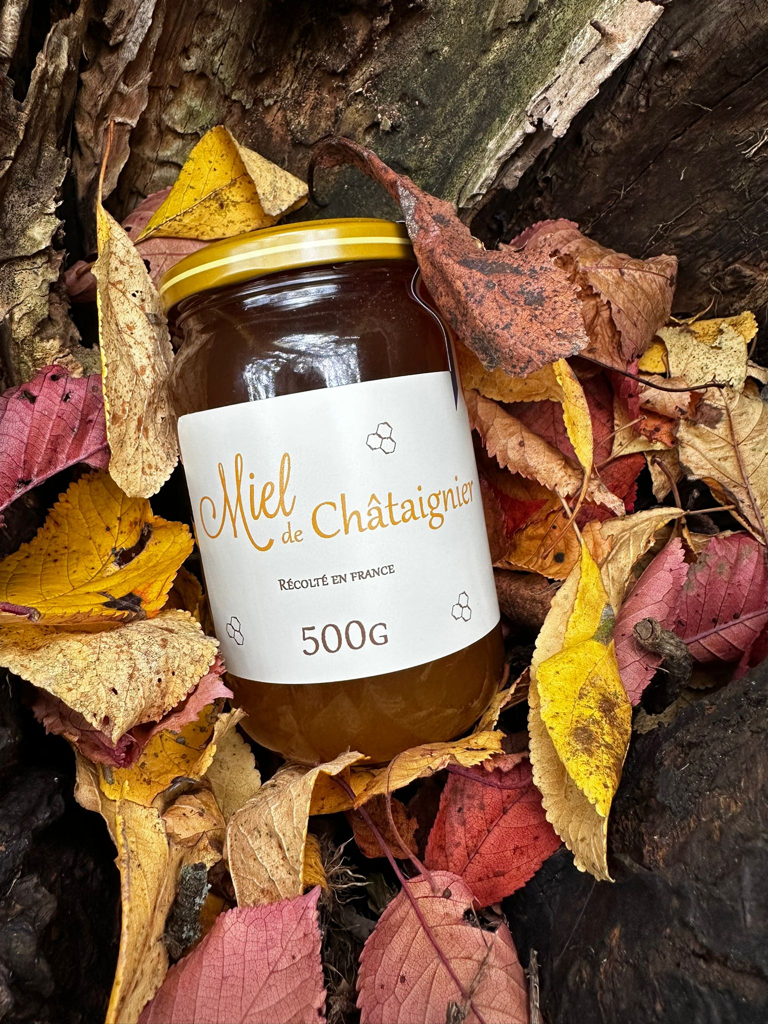 Miel de Châtaignier